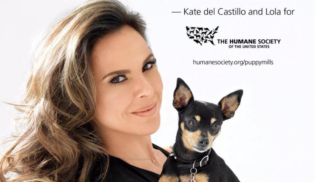 Kate del Castillo Adopts Lola